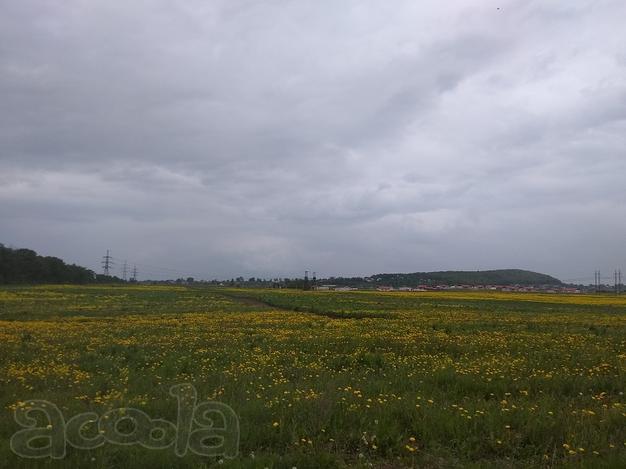 Тайцы ИЖС 10 соток