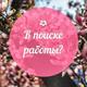 Домработница, помощница по хозяйству (Ладожская)