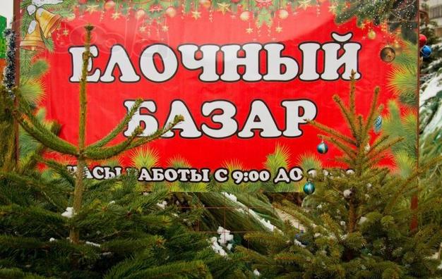 Площадь под елочный базар в аренду