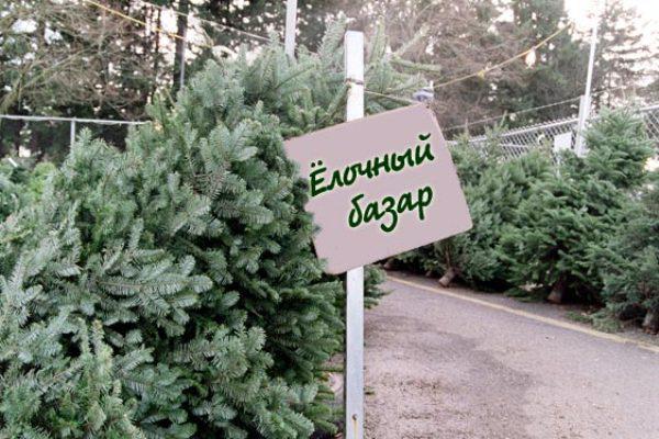 Площадь под елочный базар в аренду