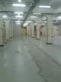 Аренда универсального помещения 985м<sup>2</sup>.