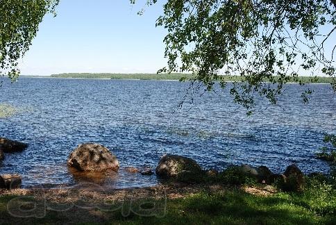 Продаётся красивый участок площадью 4,35 Га на берегу озера Вуокса. Ленинградская область, Приозерский район, Красноозёрное сельское поселение
