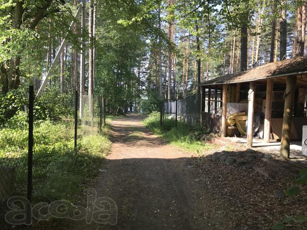 База отдыха на озере Глубокое Выборгский район