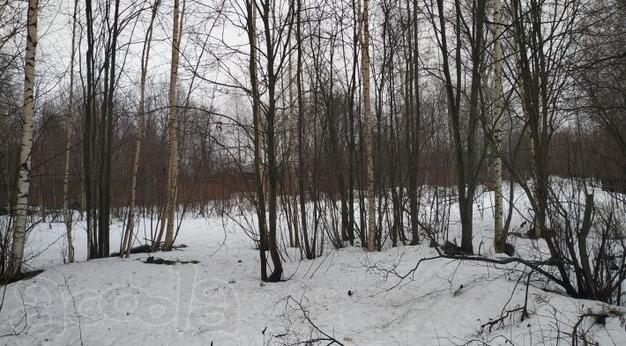 Земельный участок 2938 кв м Санкт-Петербург