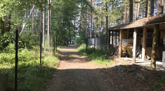 База отдыха на озере Глубокое Выборгский район