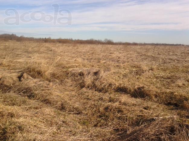 Продам 11 га земли с/х назначения