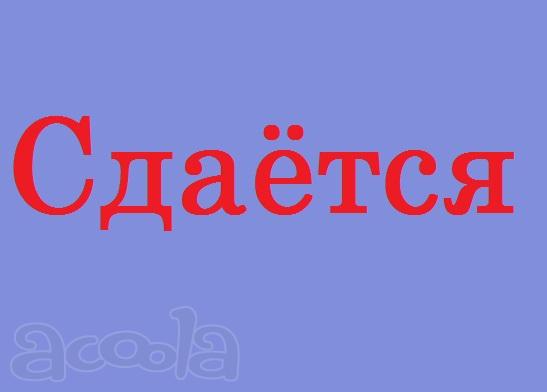 Сдается бокс в Санкт-Петербурге