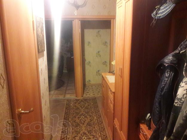 Двухкомнатная квартира в Елизаветино.